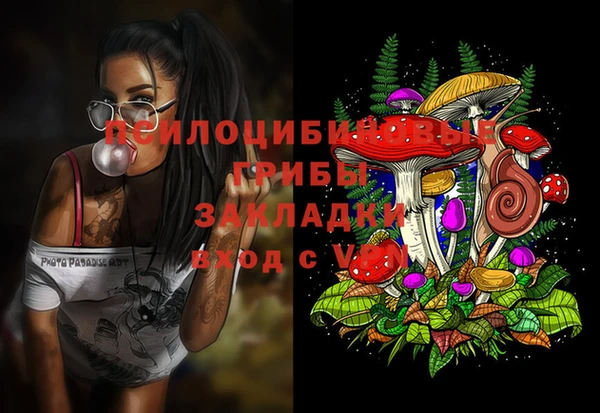 2c-b Алзамай