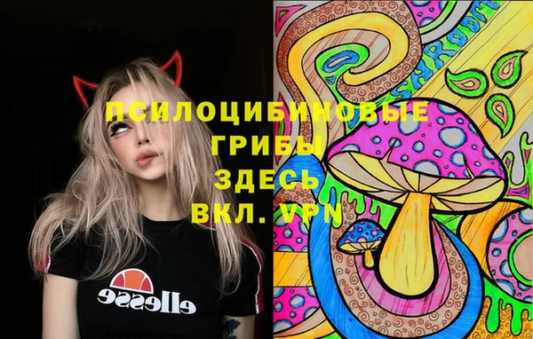 2c-b Алзамай